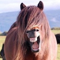 郭德纲张云雷唱照花台忘词了,台下喊退票!郭德