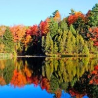 欢乐喜剧人贾冰《光阴的故事》你瞅啥,瞅你咋