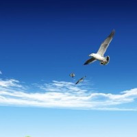 小时不知剧中意,长大已是局中人,最扎心的一集