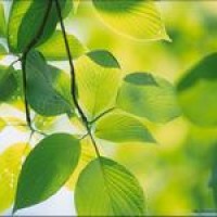 7名高中女生没事儿模仿抖音 宿舍里面比身材!