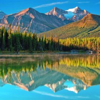 都10年了, 网红B哥还在靠吹牛活着, 一点长进也