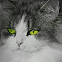 虫子之两个感人的虫子!