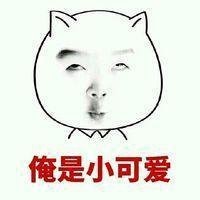 翻译官2:上海拍摄曝光路透照黄子韬,楼着杨幂