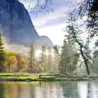 风陵渡口初相遇,一见杨过误终身--郭襄