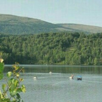 杰斯一炮一个防御塔,这游戏还能好好玩吗?