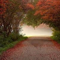 黄健翔被问怕不怕输,作为一个足球解说员我们