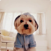 快乐大本营:宋茜劈叉也是没谁了,何老师话音刚