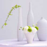 烈火如歌:热巴倒追张彬彬,仔仔主动提供情感攻