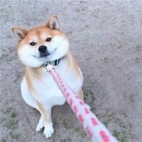 老九门:佛爷把大佛请回了家中,开车来看的朋友