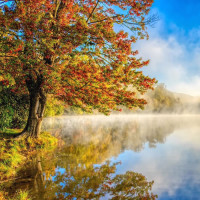 林青霞这首歌比东方不败的笑红尘还要撩人太