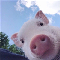 优雅女子唱的《听心》柔情歌曲大家还记得原唱