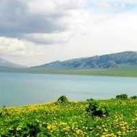 王者荣耀 点券充值还有科技了 商城充值狂刷1