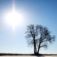 什么叫过人不减速, 看看罗斯这个极速变向操作