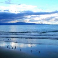 快乐大本营:宋祖儿在节目上的表现,感觉真的好