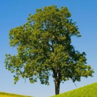 冯提莫户外直播深夜街头翻唱《不仅仅是喜欢》