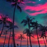 采访郑爽的这段视频,看完瞬间路转粉,原来郑爽