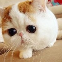 早教儿歌视频,我是消防员,宝宝学习消防知识!