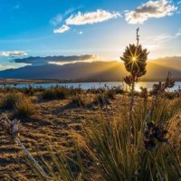 游戏王经典对决 武藤游戏 VS 海马