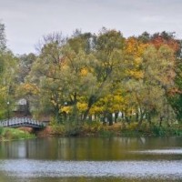 QQ飞车:听说这首歌很火