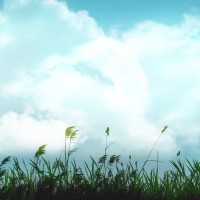 《太极张三丰》插曲《情难独奏》,杨紫琼喝的