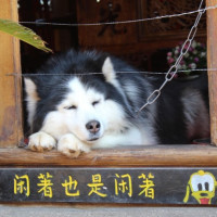 车钥匙没电了,还怎么一键启动,老师傅一招搞定