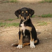 婚礼上伴娘与伴郎做互动游戏,姑娘一句话把伴