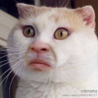 非洲版黑人嘴巴嘟嘟PK龅牙姐姐原版!个个都是