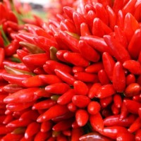 美女为了钱,把自己的闺蜜灌醉,推进狼窝,拿着钱