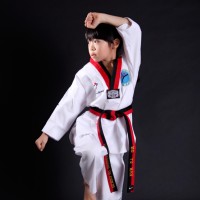 2016第16届全国跆拳道邀请赛冠军王中王争霸