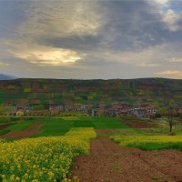 威猛女杀手用剪刀脚夹住硬汉的脖子,用这种方