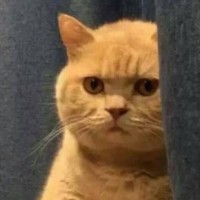 《下一站别离》杨柳青邀请盛夏吃饭聊起秋阳,