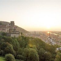 佟丽娅领衔的新疆四美要一起参加综艺节目 大