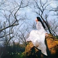 李小璐夜宿门事件后复出捞金,王思聪的回复绝