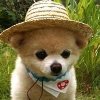 烽火佳人:杜允唐与佟毓婉圆房了,佟毓婉的肠子