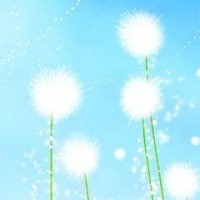 《微微一笑很倾城》肖奈在郑爽脖子上留下吻痕