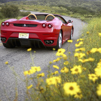 丝丝上课睡觉睡到打呼噜,柔柔和华伦却还在冷