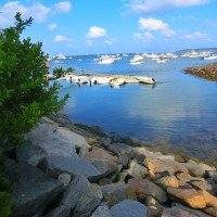 《逃学威龙》粤语版,周星驰被蹂躏摧残