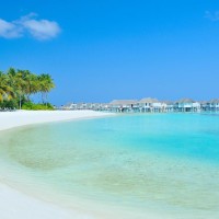 陈圆圆怀孕了,吴三桂问是自己的孩子,是崇祯的