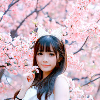 刘德华唱的这首《悟》道出了多少人生道理