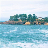 岳云鹏和郭德纲说相声,说了一个和杨幂的秘密