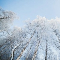 经典老电影:解放战争片《侦察兵》精彩选段5