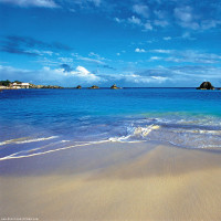 之萱我穿上高跟鞋好像还没中间这个小姐姐高猜