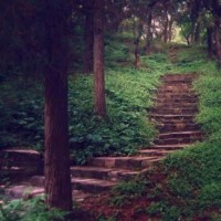 有这个魔性海草舞舞蹈教学视频,你还怕学不会