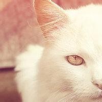 抖音最近很火的魔性舞蹈,背景音乐真是太洗脑