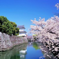 少儿动画片《西游记》歌曲《猴哥猴哥》的精彩