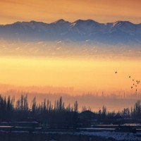 DNF:主C剑帝带奶妈刷日常安图恩,却被辅助奶