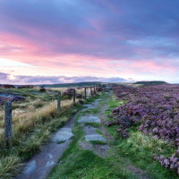 王者荣耀搞笑视频 小鲁班公开挑衅凯,结果差点