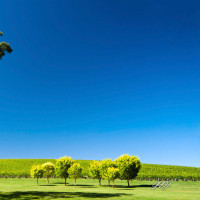 日本高手出现在燕双鹰背后以为能制住,女神枪