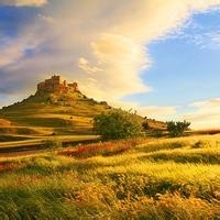 欢乐喜剧人:沈腾改马丽高考志愿,以670分考入