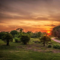红遍ins的网红水果数字生日蛋糕,做法简单,一起